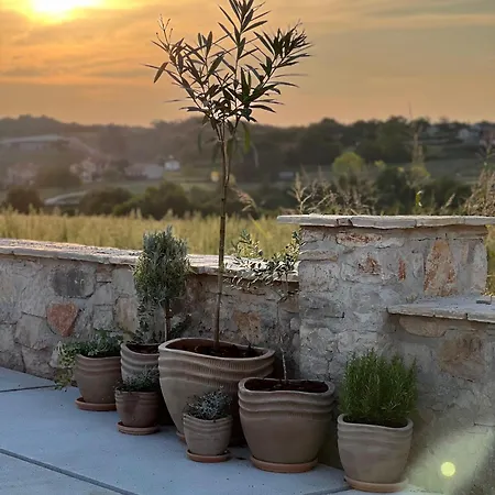 Willa Luxurioese Don Giordano Im Toskanischen Stil Mit Pool, Weinbergblick Und Olivenhainen In Istrien *